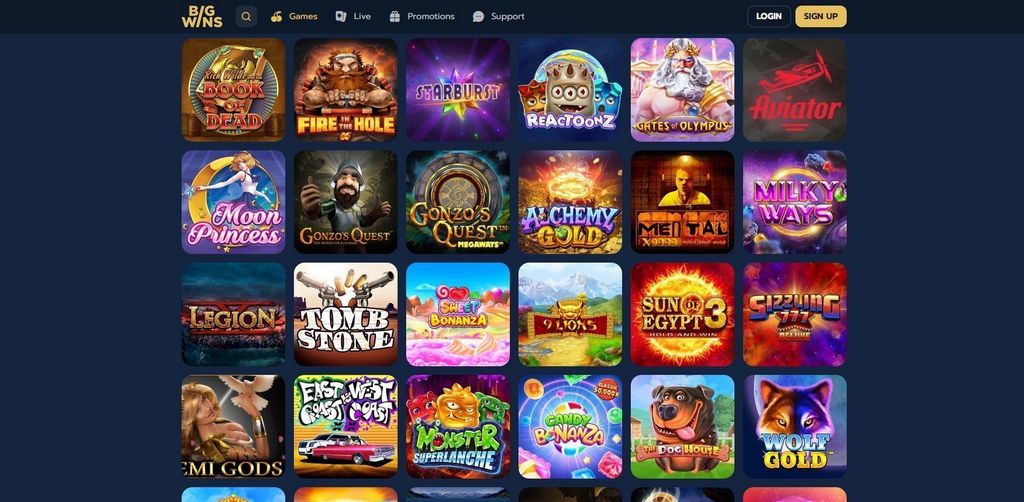 Big Wins Casino Evaluation: Software