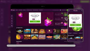 Malina Gambling Enterprisen suositus - Asiantuntijoiden ja pelaajien pisteet (2026)